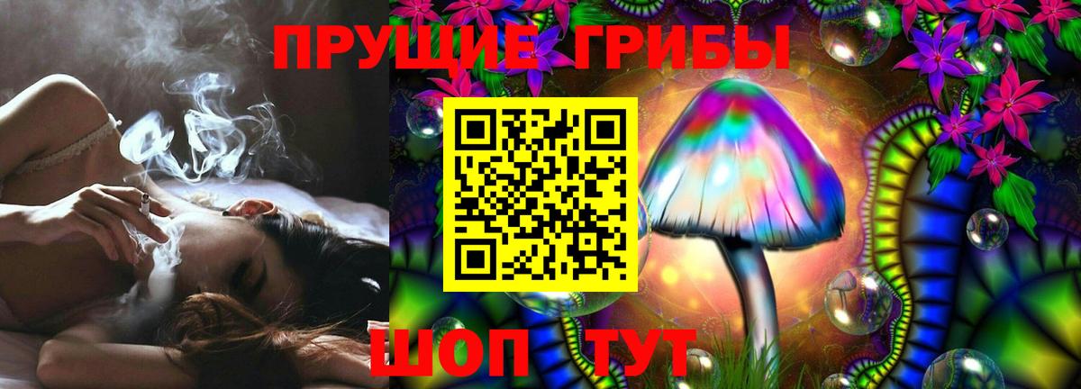 Псилоцибиновые грибы MAGIC MUSHROOMS  Вход с VPN  Псилоцибиновые грибы Psilocybine cubensis  Курчалой 