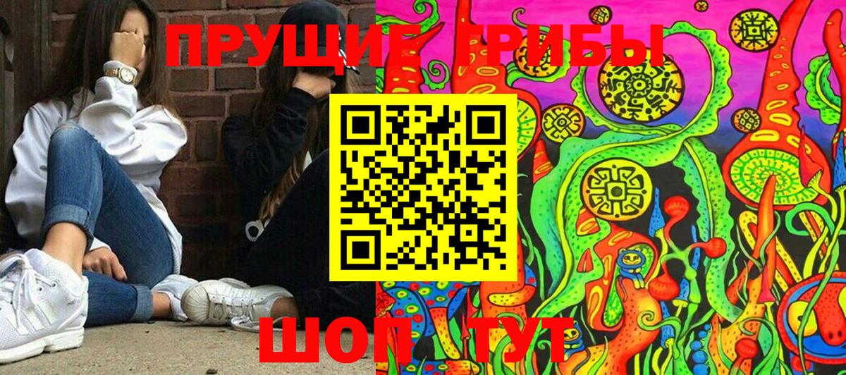 Псилоцибиновые грибы прущие грибы Курчалой